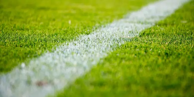 Where can I access real time pro sports play by play data?